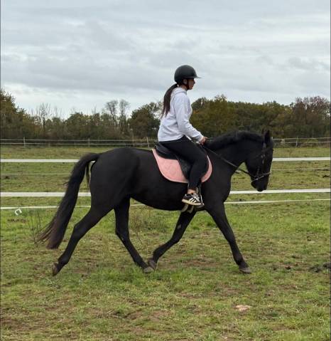Gentil 4ans