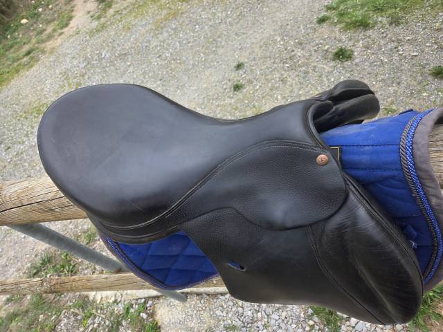 Selle forestier 