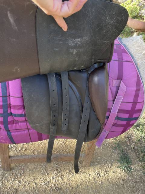 Selle islandais Nordica tophorse Scandinavia 17,5