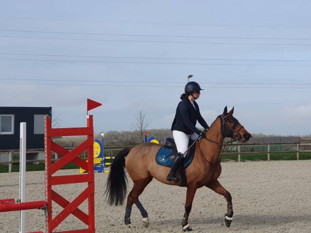 Poney avec de bonne allure et bon coup de saut 