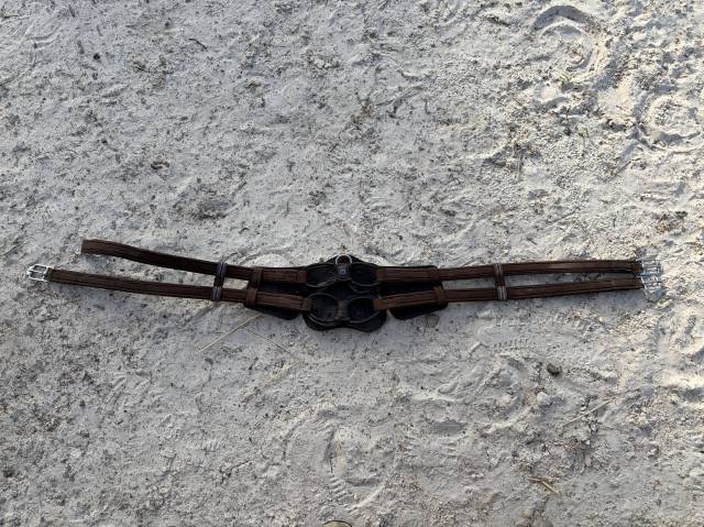 Sangle Equisoft de Stubben