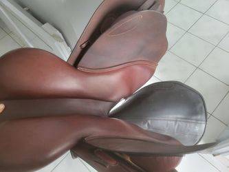 Selle gbs 