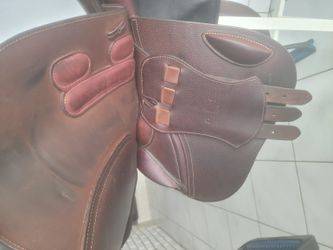 Selle gbs 