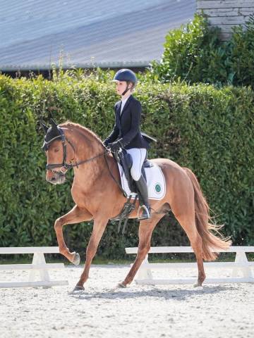 Poney pour cce as
