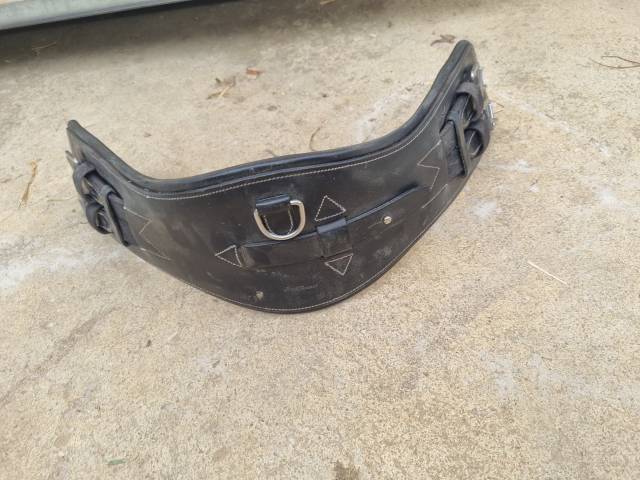 Selle de dressage 