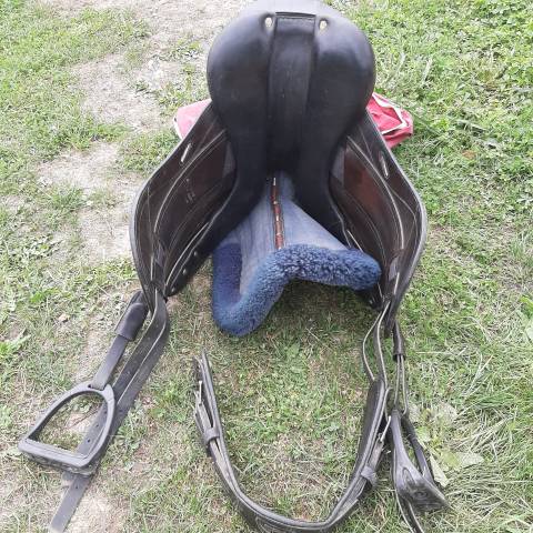 Selle Dressage