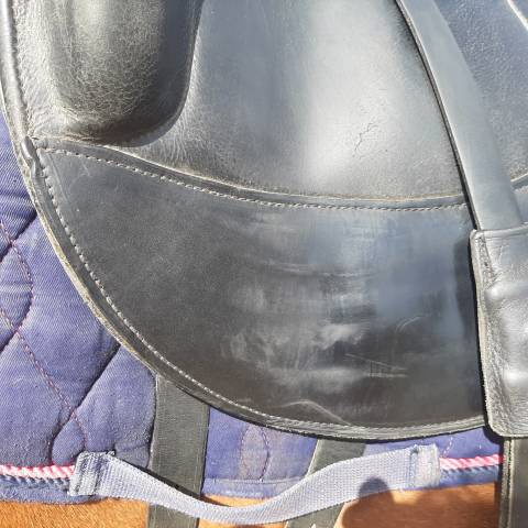 Selle Dressage