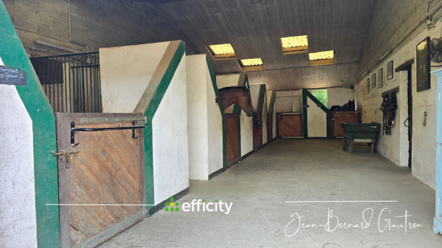 propriété équestre - 6 ha - maison - carrière - manège