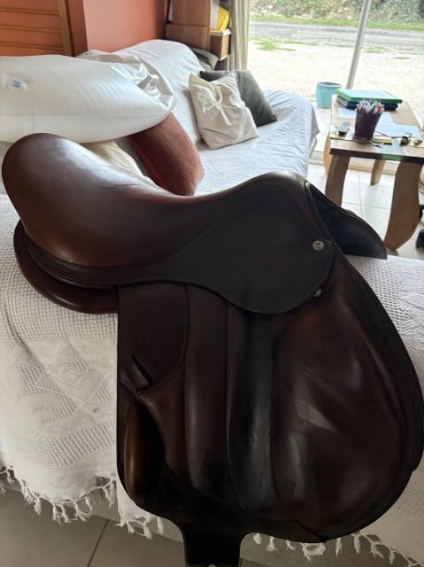 Selle Rebelle 17,5 