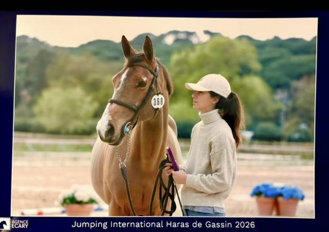 Hongre 15 ans gagnant 140 idéal amateur 