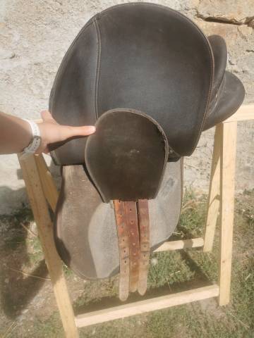 Selle wintec mixte