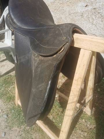 Selle wintec mixte