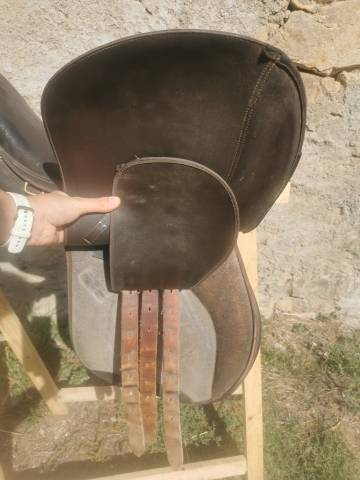 Selle wintec mixte