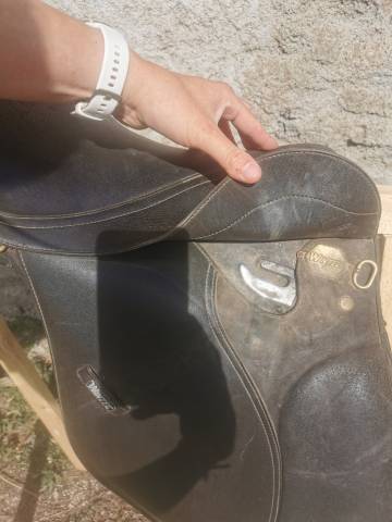 Selle wintec mixte