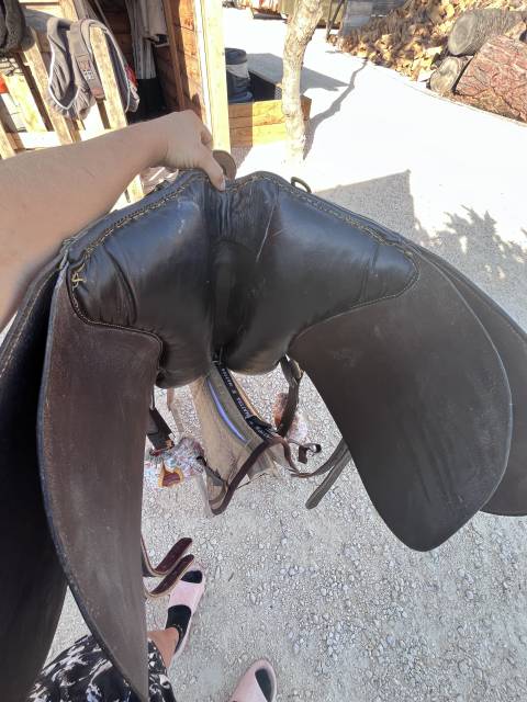 Selle australienne 