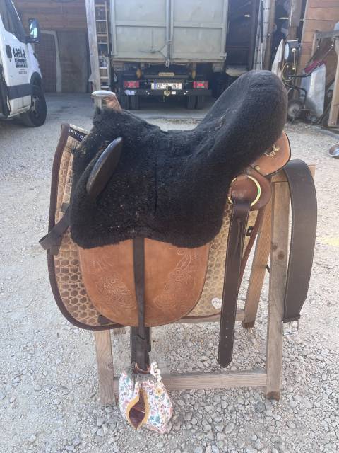 Selle Australienne 