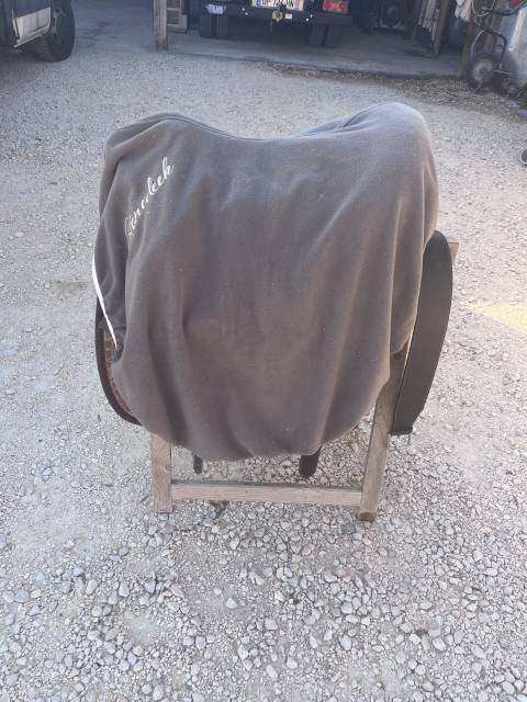 Selle Australienne 