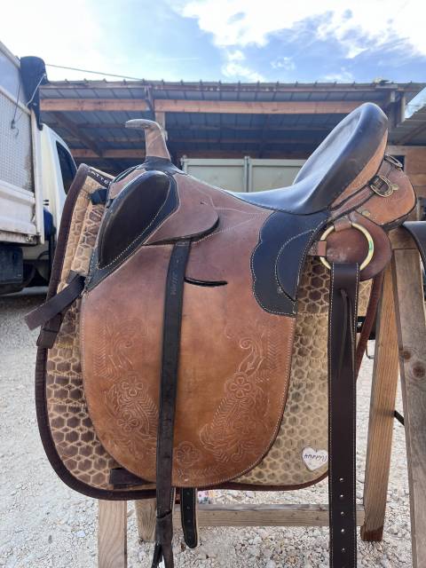 Selle Australienne 