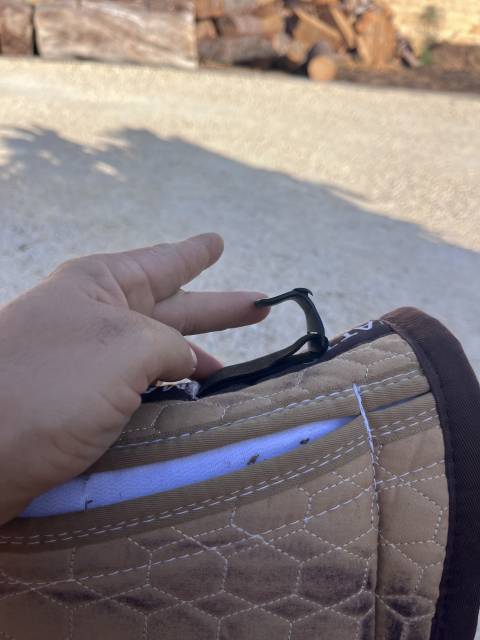 Selle Australienne 