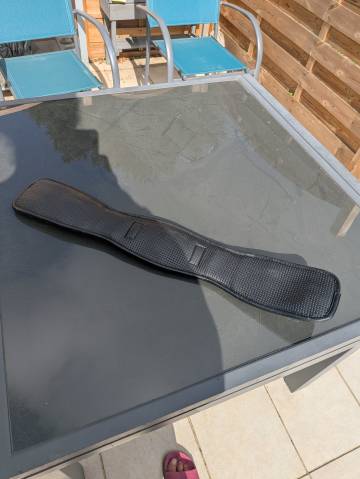 Sangle dressage 55