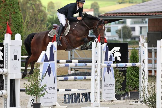 Tres beau hongre de sport, victorieux jusqu'à 125cm