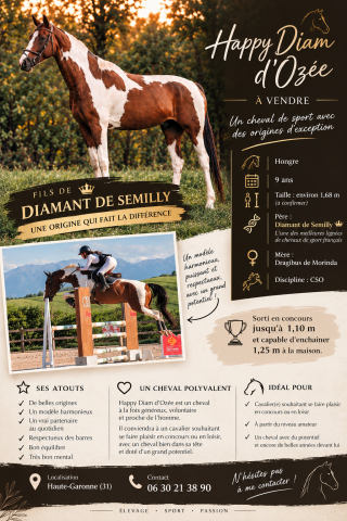 Cheval de sport
