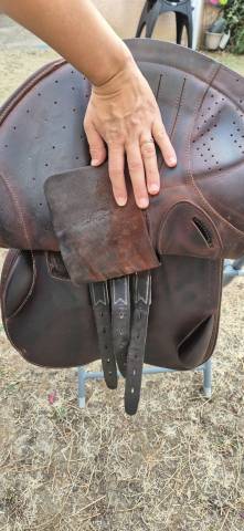 Selle ereplus ca