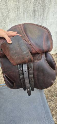 selle ereplus CA