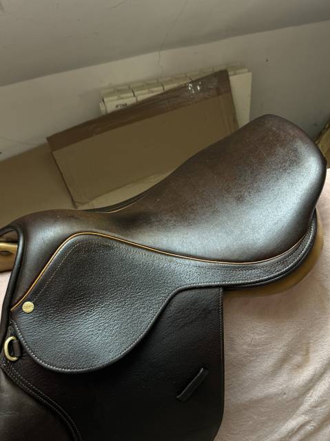 Selle Terry&rsquo;s Sensor  mixte obstacle havane Т.17P 