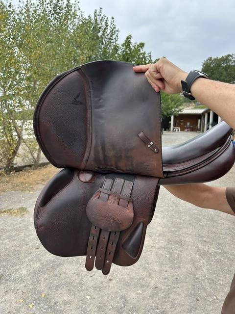 selle 17.5 equip CSO 2021