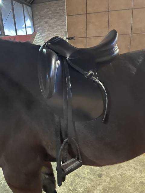 Selle amerigo vega