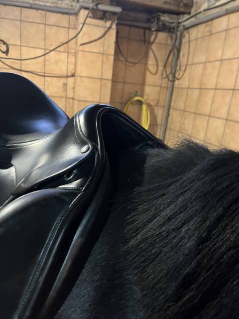 Selle Amerigo Vega 