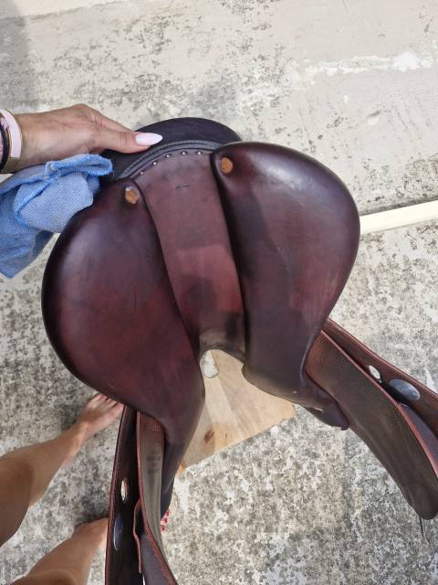 Selle Meyer 18