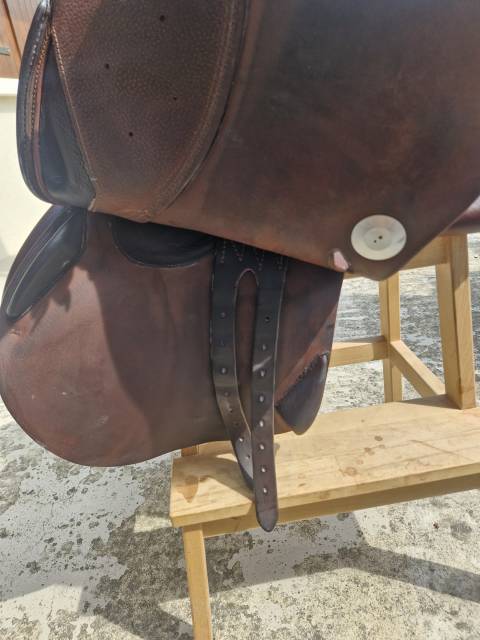 Selle Meyer 18