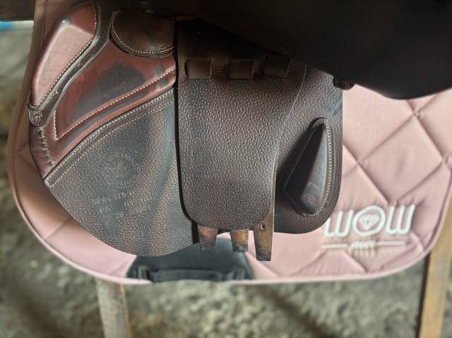 selles CWD obstacle 17,5
