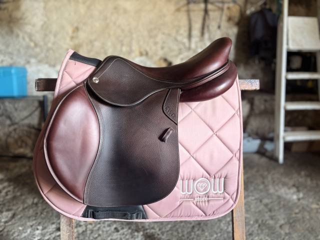 selles CWD obstacle 17,5