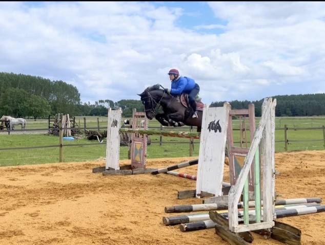 Cheval pour cavalier confirmé - délicat/ émotif