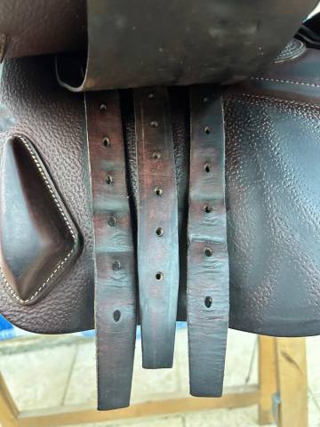 Selle d&rsquo;obstacle CWD SE02 &ndash; 17&rdquo; &ndash; 2C &ndash; 2019