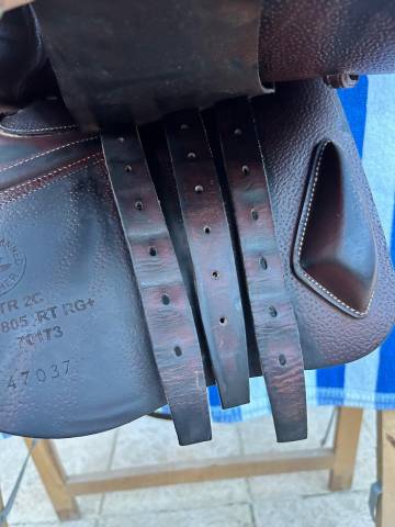 Selle d&rsquo;obstacle CWD SE02 &ndash; 17&rdquo; &ndash; 2C &ndash; 2019