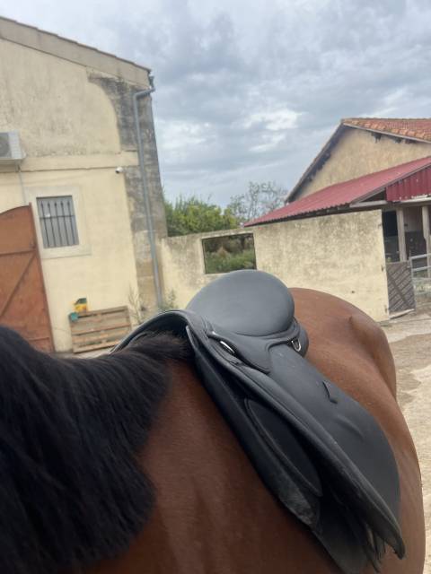 Selle Norton pro 