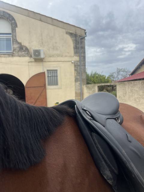 Selle Norton pro 