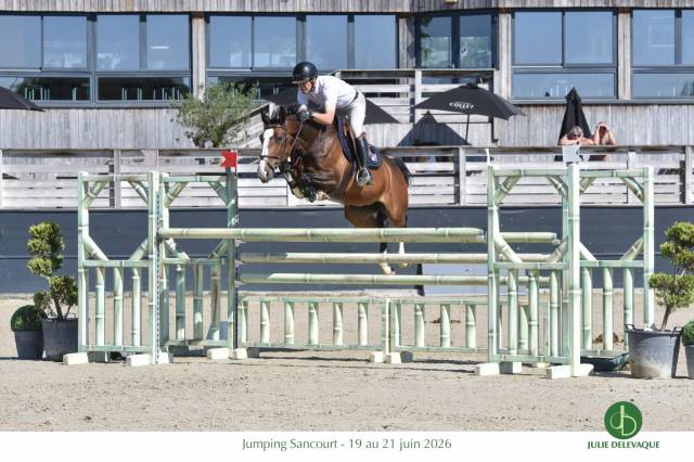 Jument de sport 7ans