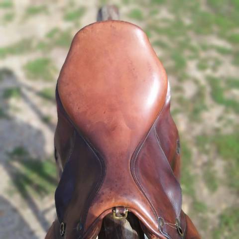Selle forestier 17'