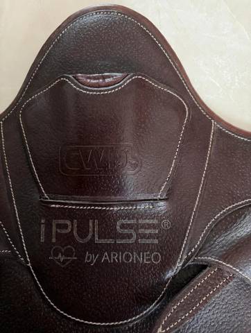 Sangle bavette CWD iPulse by Arioneo - Taille Universel