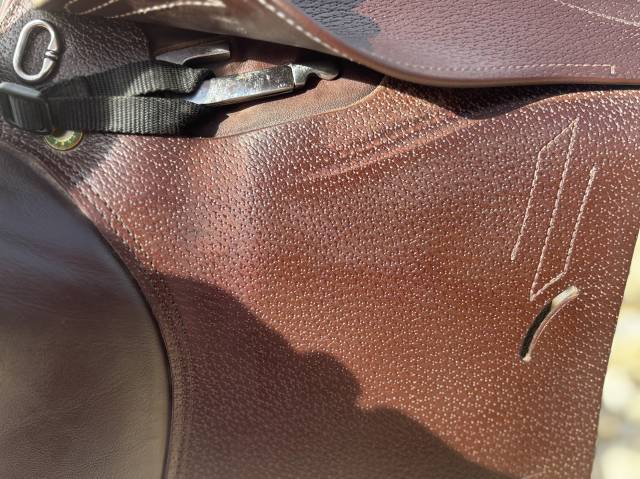 Selle Prestige Roma jump
