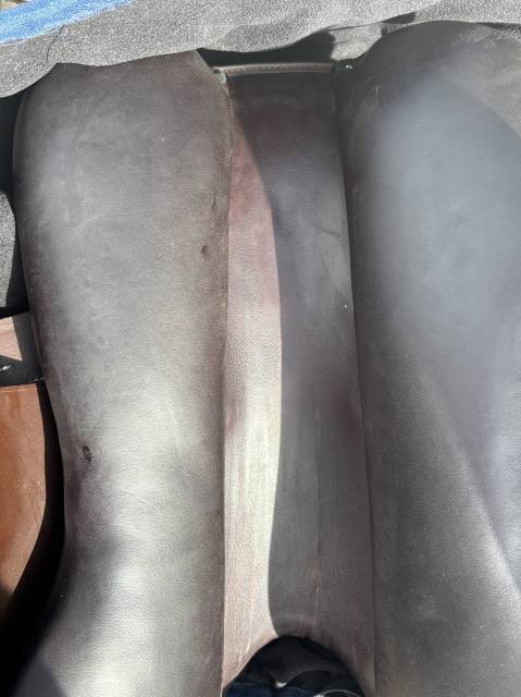 Selle Prestige Roma jump
