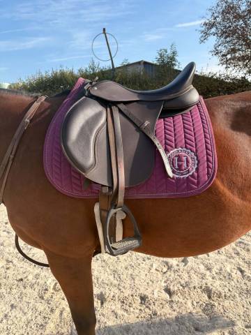 selle wintec 17,5pouce
