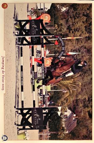 Cheval cso 