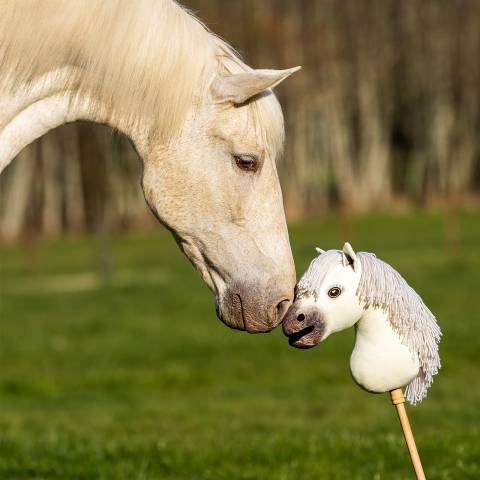 Hobby Horse Nalanta - QHP - Pelage doux et crini&egrave;re &agrave; coiffer