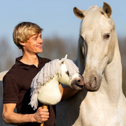 Hobby Horse Nalanta - QHP - Pelage doux et crini&egrave;re &agrave; coiffer